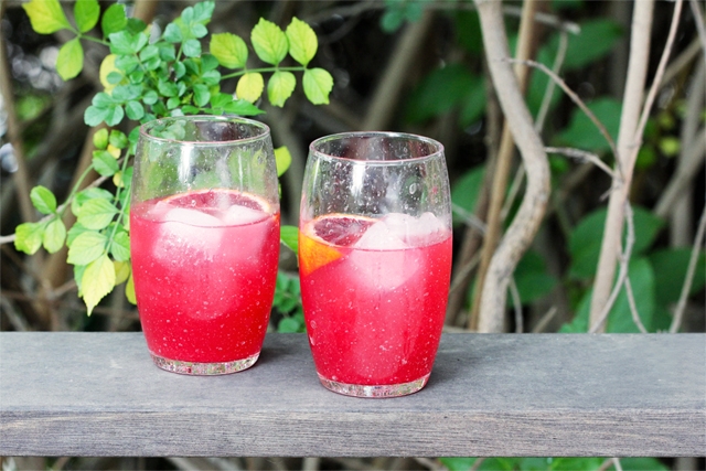 Blood Orange Gin Sparkler