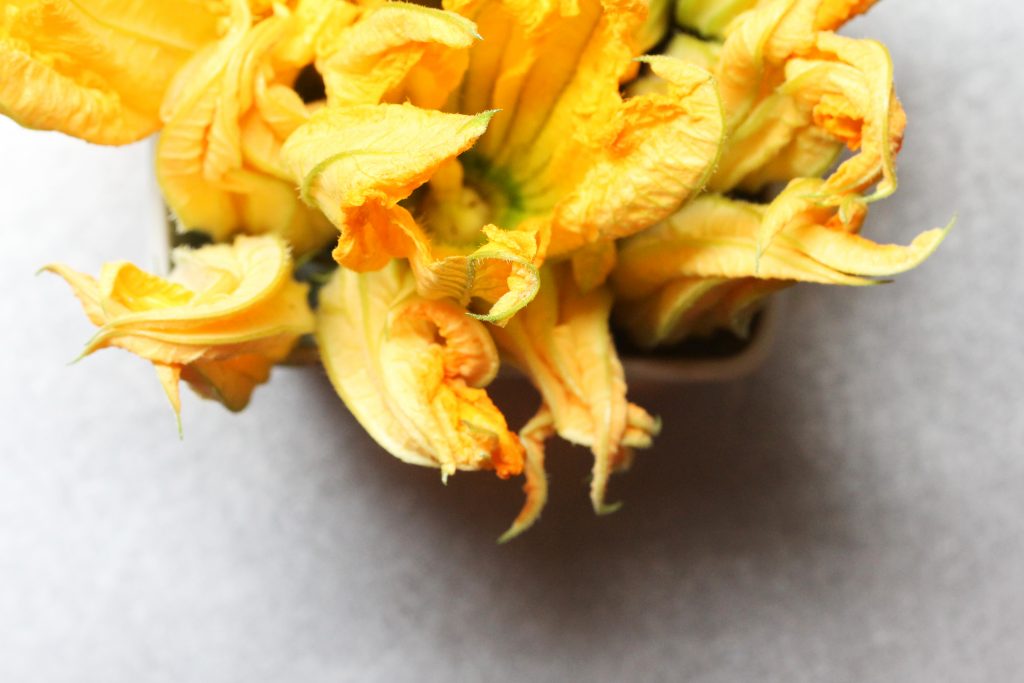 Squash Blossoms