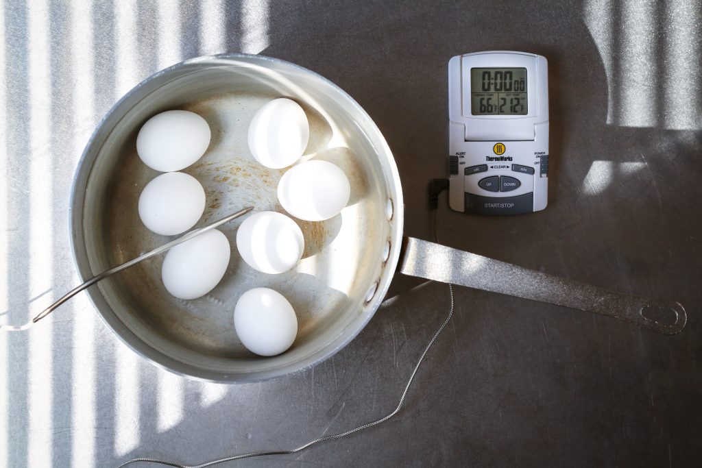 Egg Thermometer