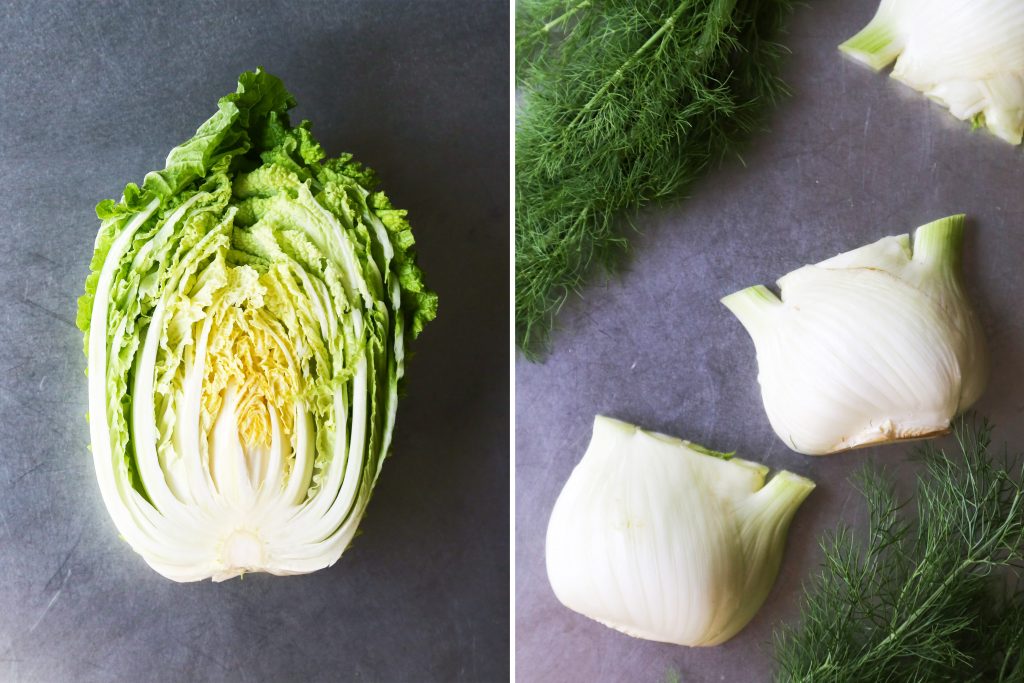 Fennel and Cabbage