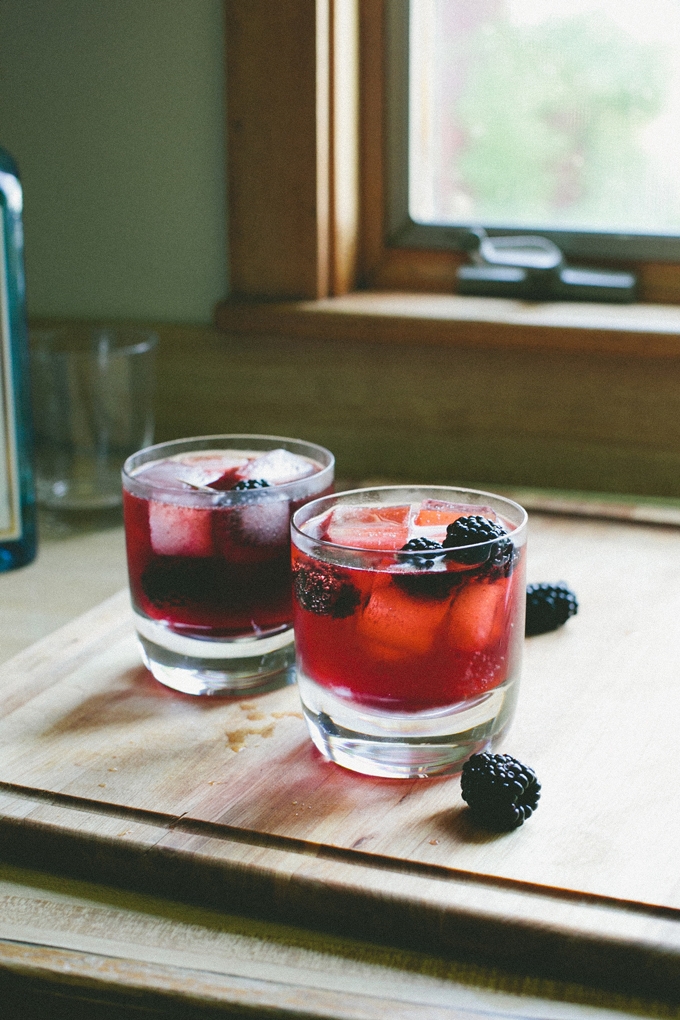 Blackberry Gin and Tonic