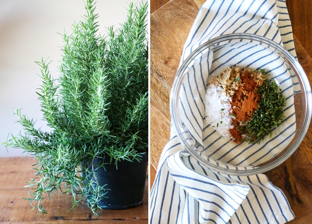 Rosemary and Spices