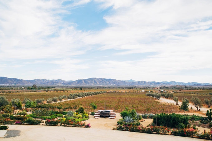 Finca La Carrodilla Vineyards