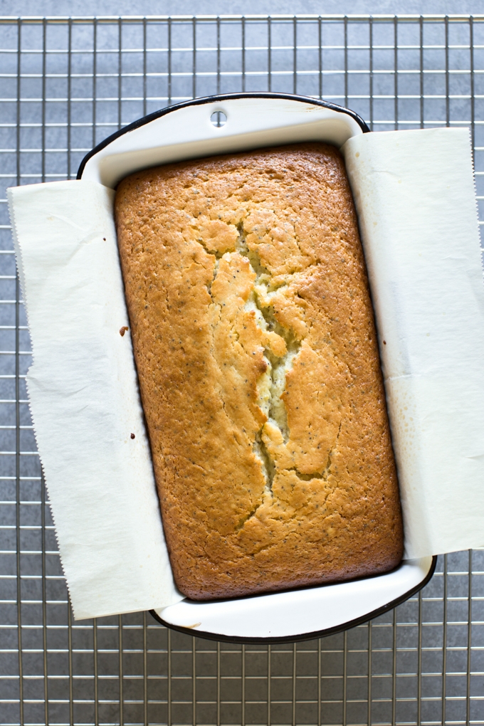 Citrus Poppy Seed Cake Baked