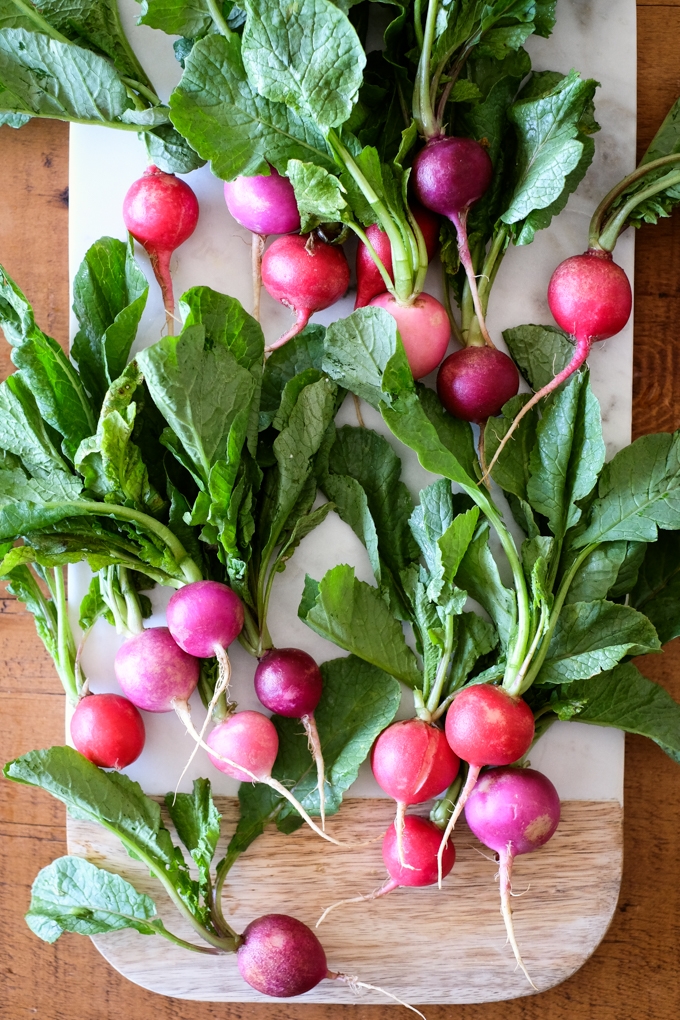 Easter Egg Radishes