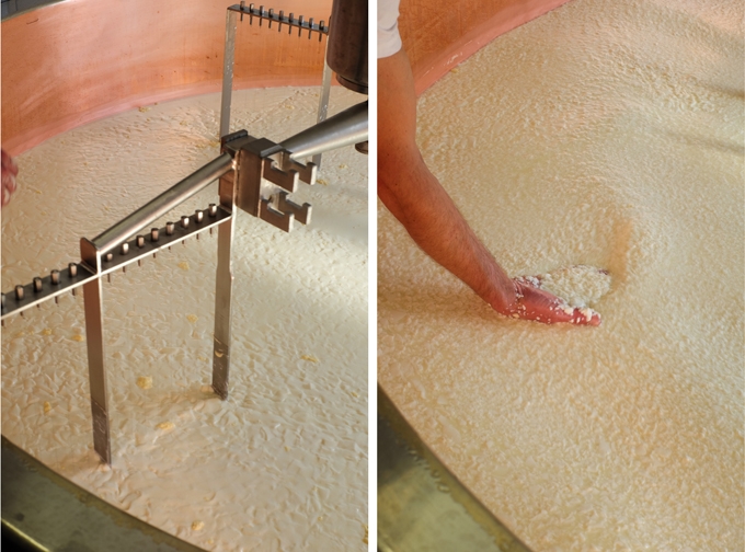 Cheesemaking