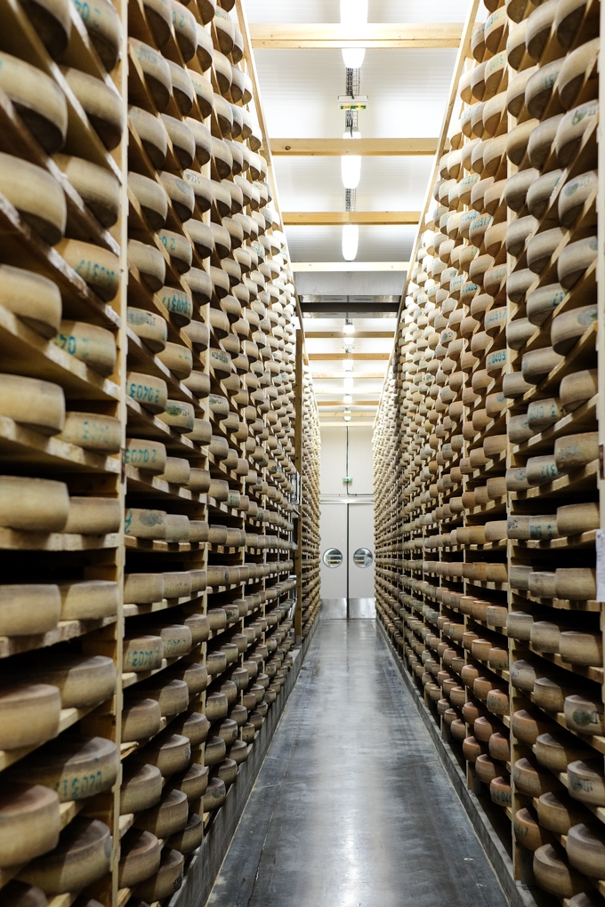 Wheels of Comté Cheese