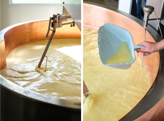 Cheesemaking Process
