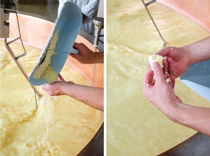 Cheesemaking Process