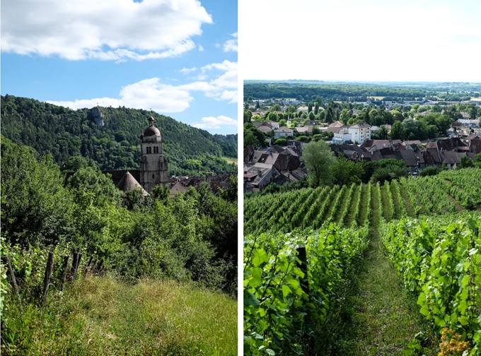 Poligny Vineyards