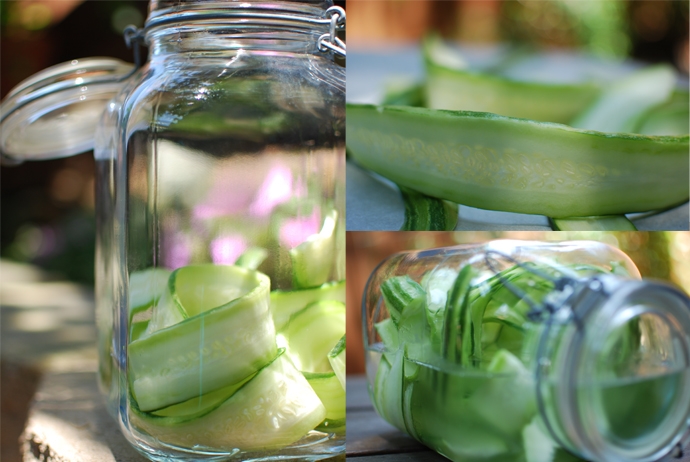 Armenian Cucumber Infused Vodka