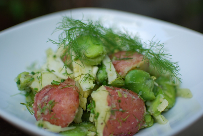 Potato salad with fava beans and fennel