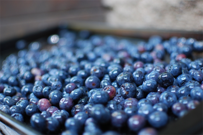 Blueberries