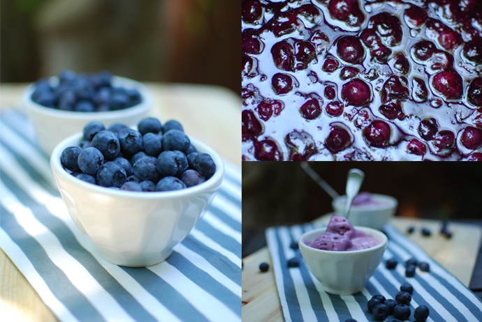 Blueberry Ice Cream