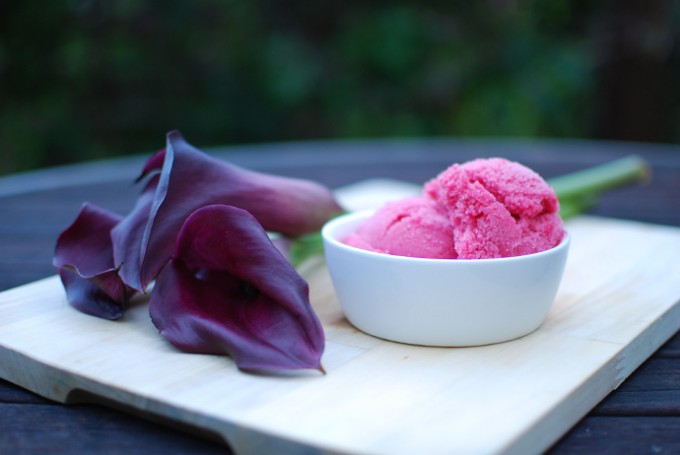 Pluot Sorbet