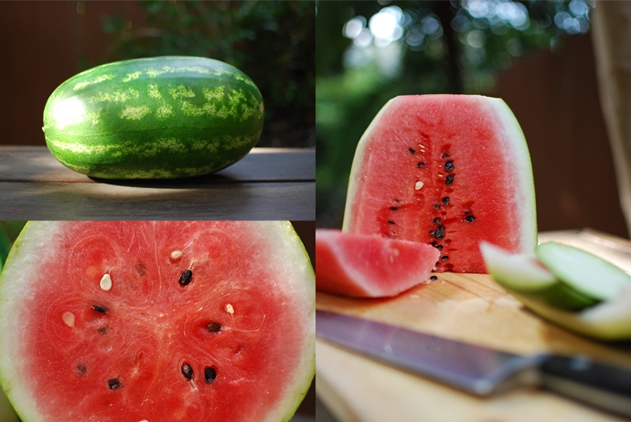 Watermelon rosemary infused vodka