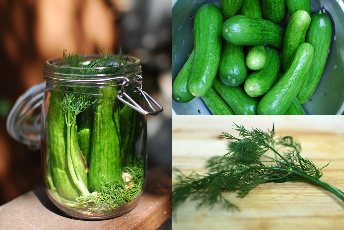 Dill Pickles