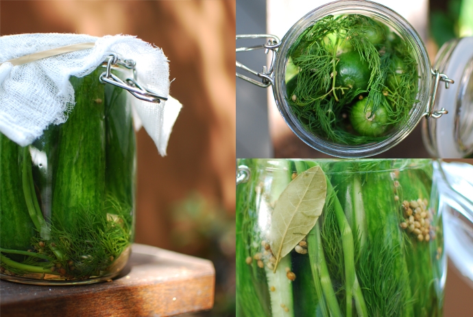 Dill Pickles