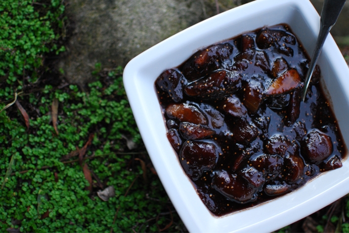 Fig and Balsamic Jam