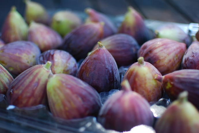 Figs