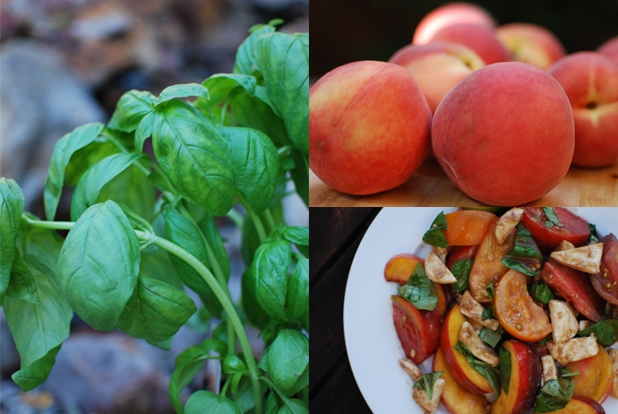 Heirloom Tomato and Peach Caprese Salat