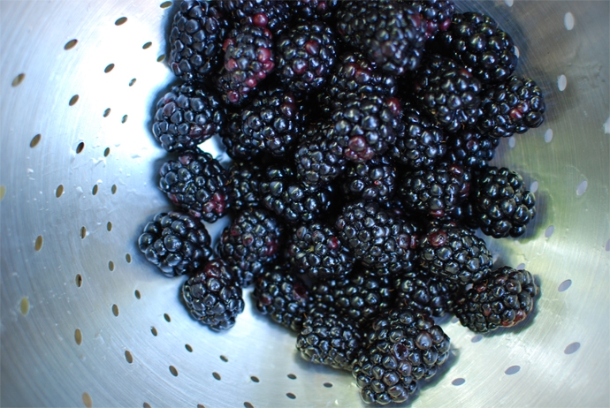 Blackberries