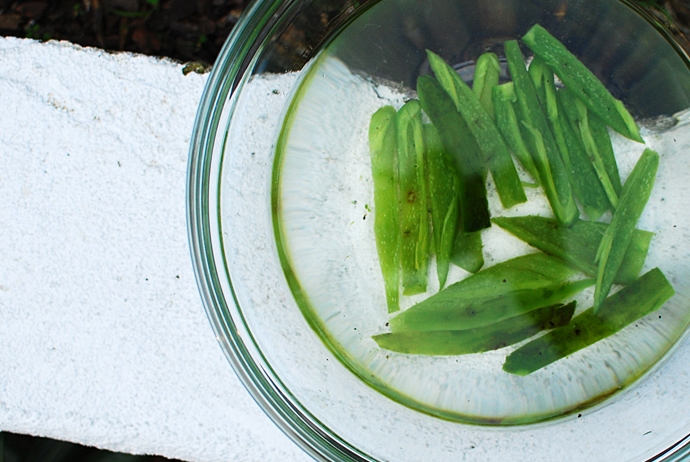 Roasted Jalapeno Infused Tequila