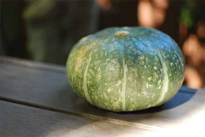 Kabocha Squash