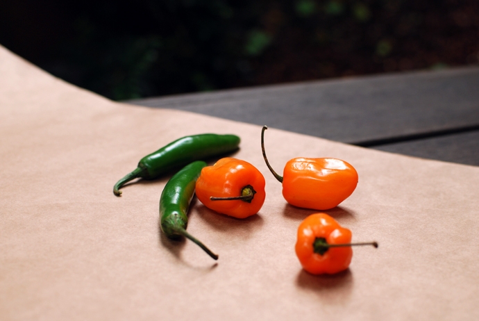 Habanero and Serrano Chilis