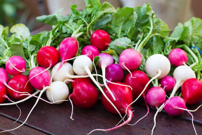 Radishes