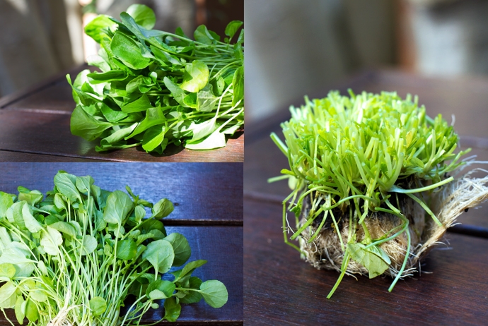 Watercress