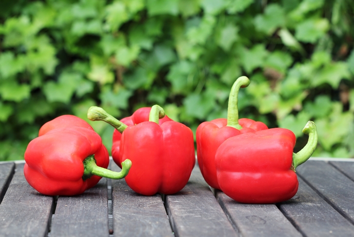 Red Bell Peppers