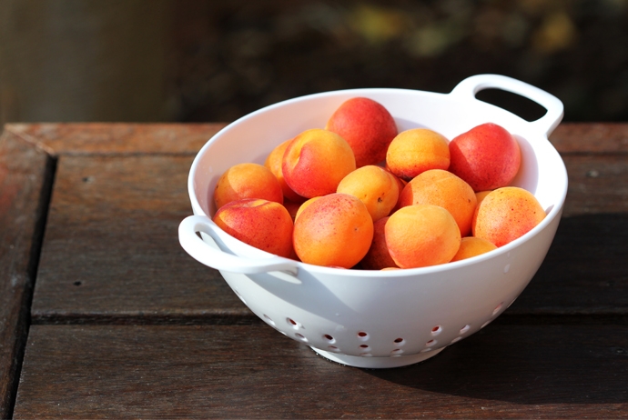 Baby Apricots