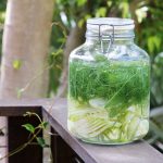 Fennel Infused Vodka
