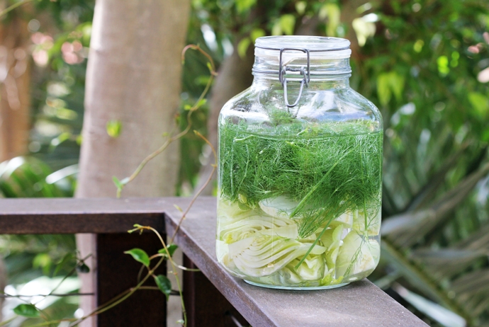 Fennel Infused Vodka