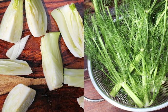Quarted Fennel and Fennel Fronds