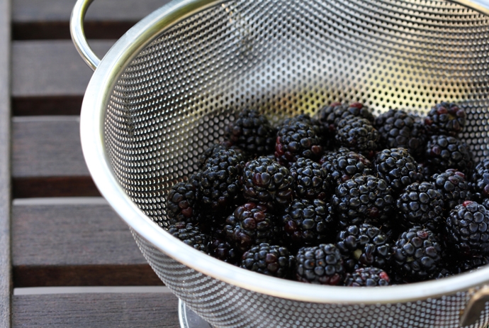 Blackberries