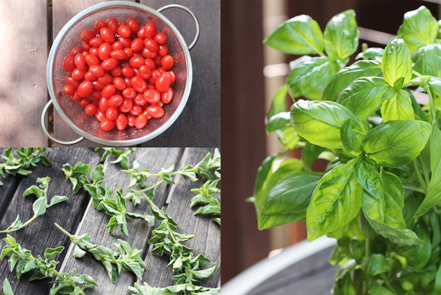 Cherry Tomatoes, Oregano and Basil