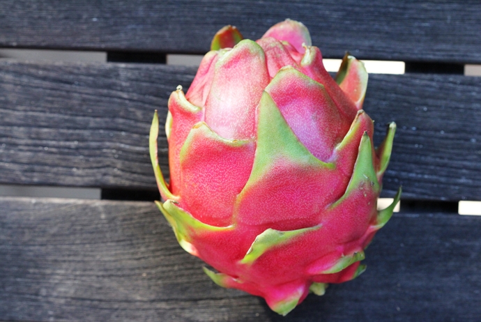 Pink Dragon Fruit