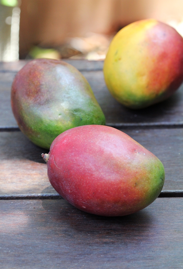 Mangoes