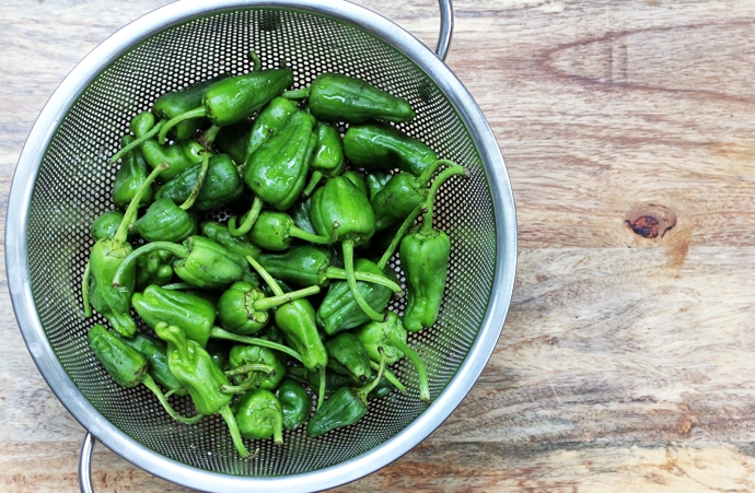 Rinsed Padron Peppers
