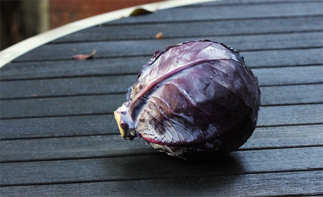 Organic Red Cabbage