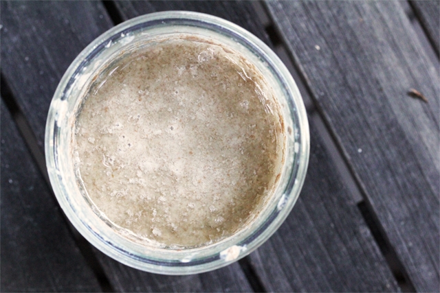 Sourdough Starter