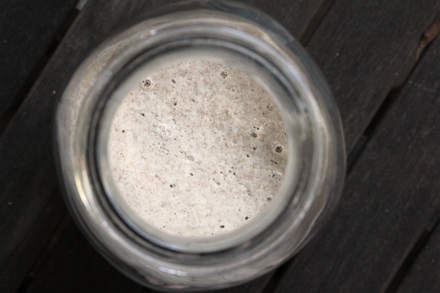 Sourdough Starter: Days 4 & 5