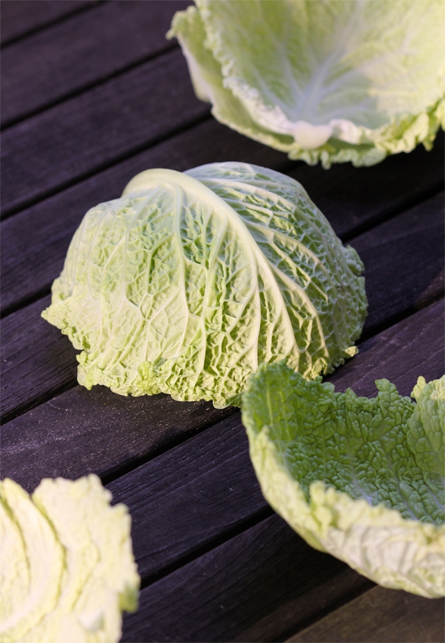 Savoy Cabbage