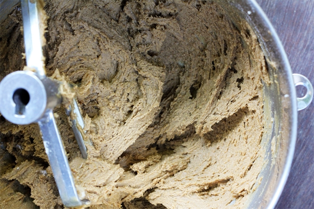 Spiced Molasses Cookie Dough