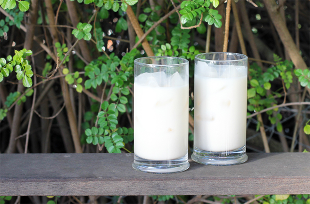 Almond Horchata