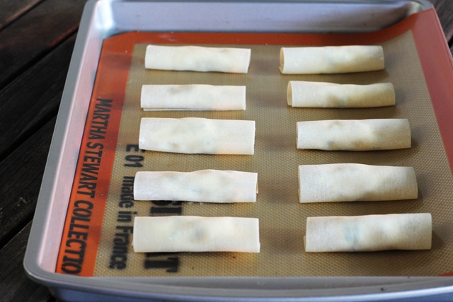 Rolled Cannelloni