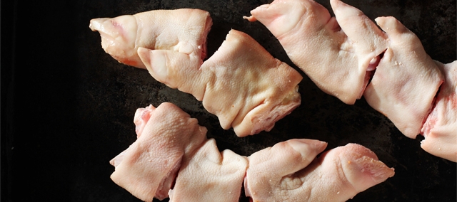 Pork Trotters