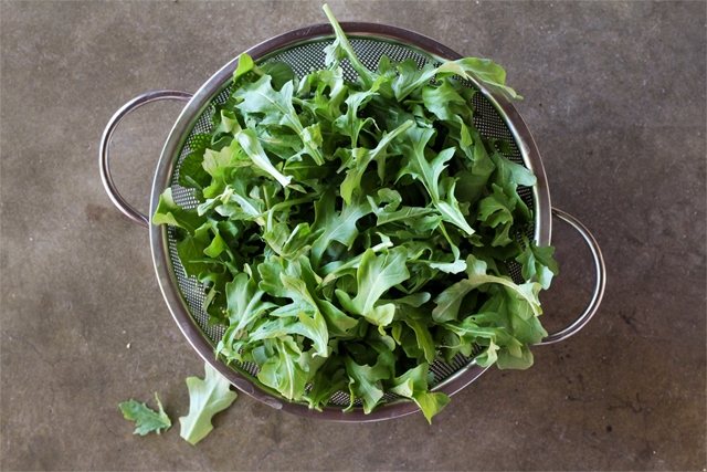 Arugula